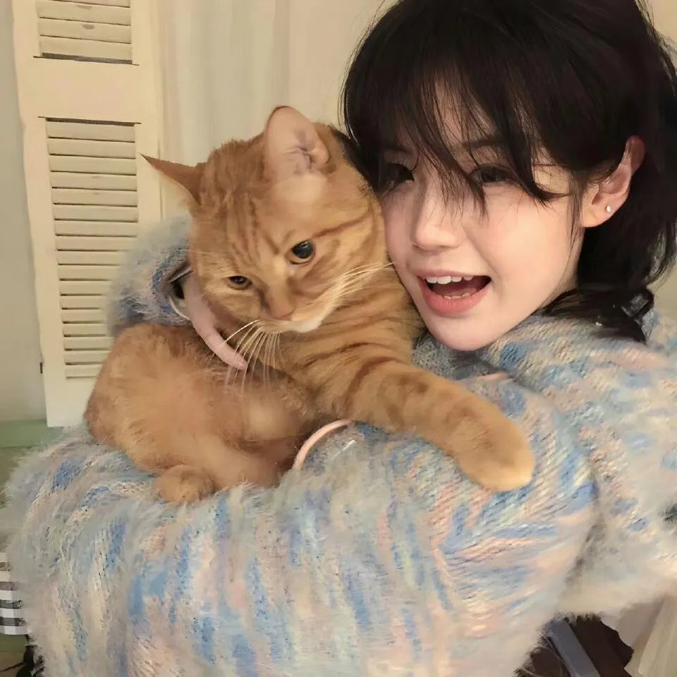 中央广播电视总台元宵晚会2023